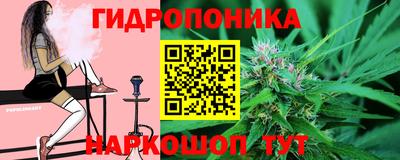 амф Гатчина