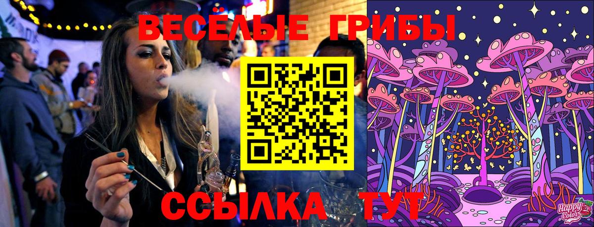 Псилоцибиновые грибы Cubensis Каменка