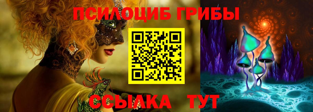 Каменка  Псилоцибиновые грибы Cubensis  Вход с VPN 