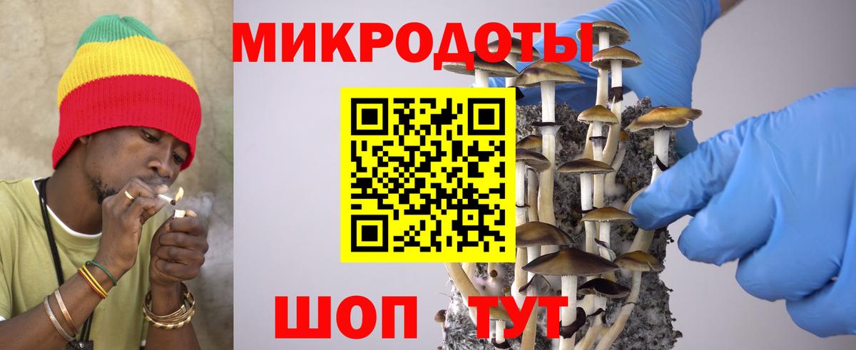 Галлюциногенные грибы ЛСД Каменка